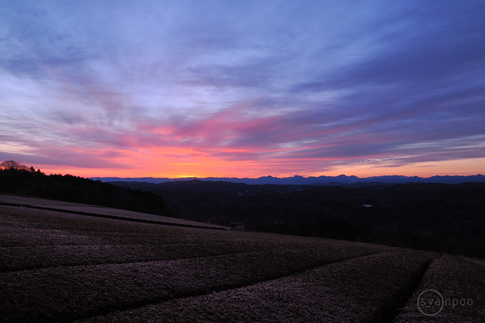 お写ん歩: OLYMPUS M.ZUIKO DIGITAL ED 7-14mm F2.8 PROアーカイブ